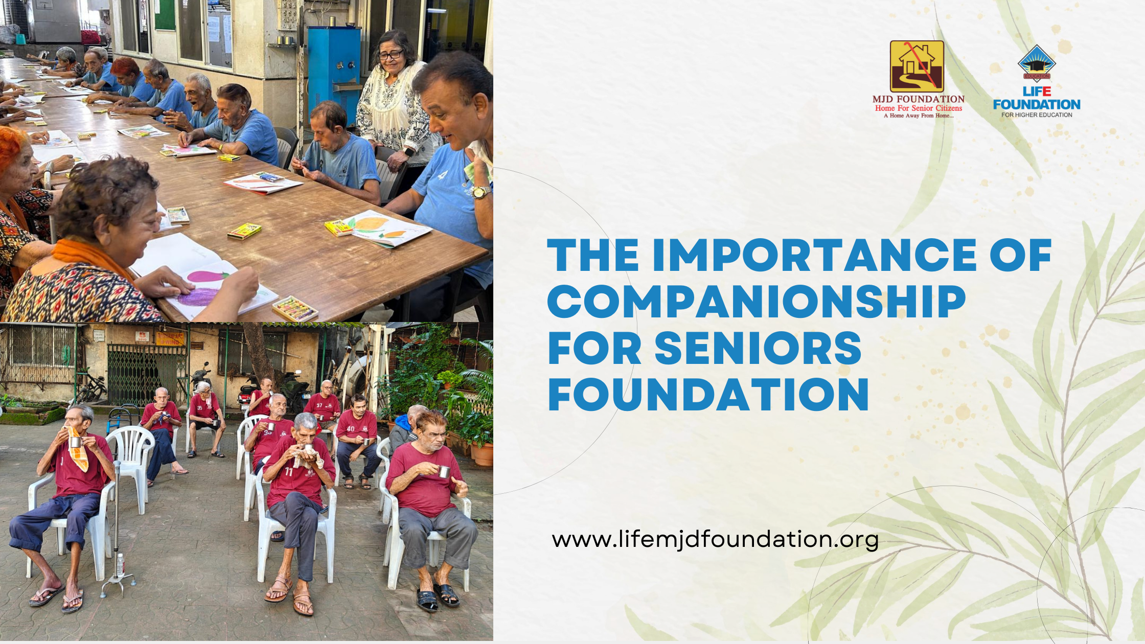 The Importance of Community Outings for Senior Citizens